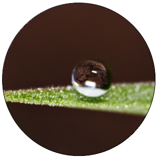 Photographie de Michael Apel